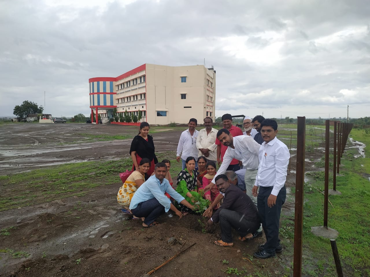 Tree Plantation 